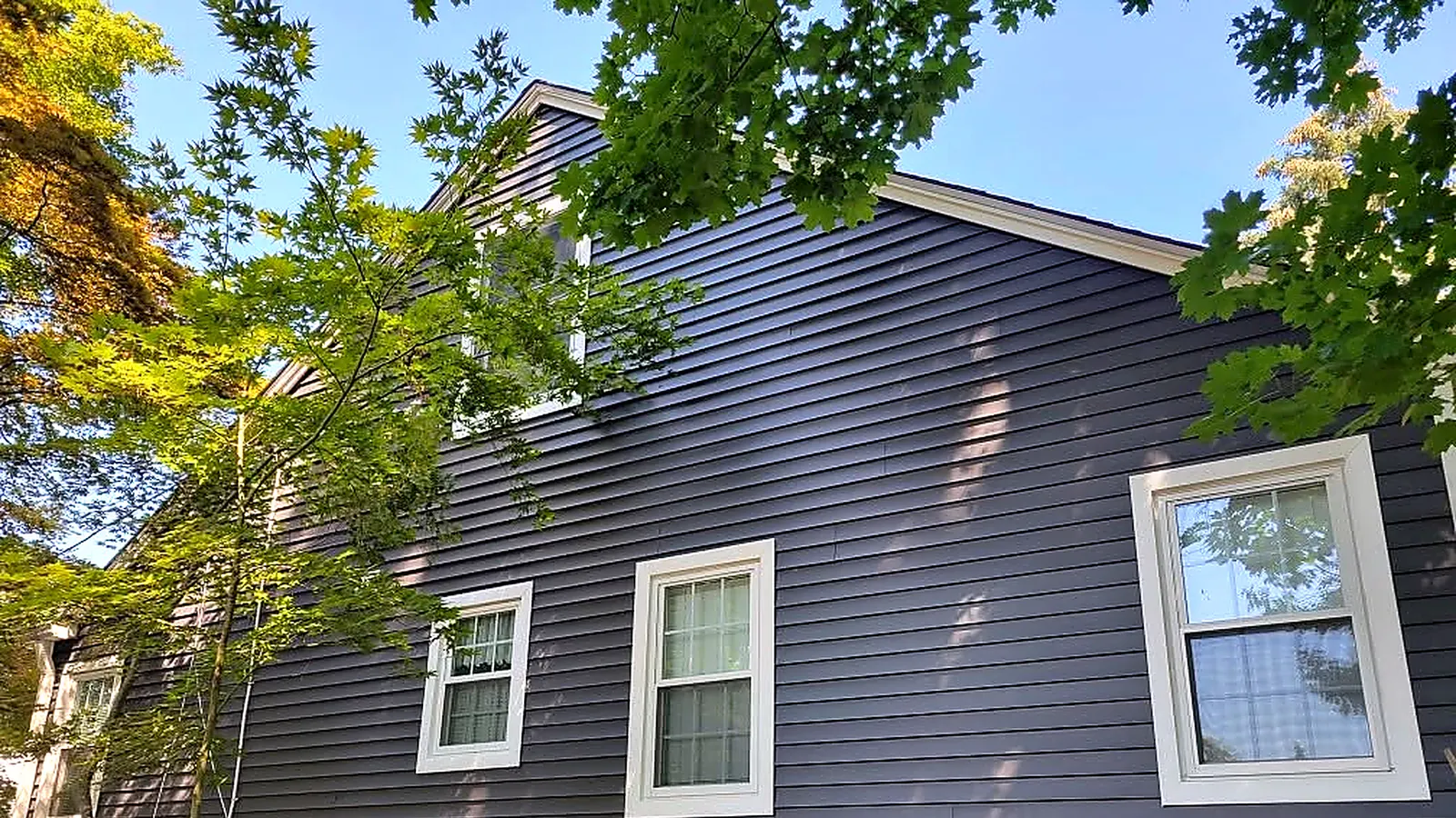 New navy vinyl lap siding with white-trimmed double-hung windows and a maple tree in front